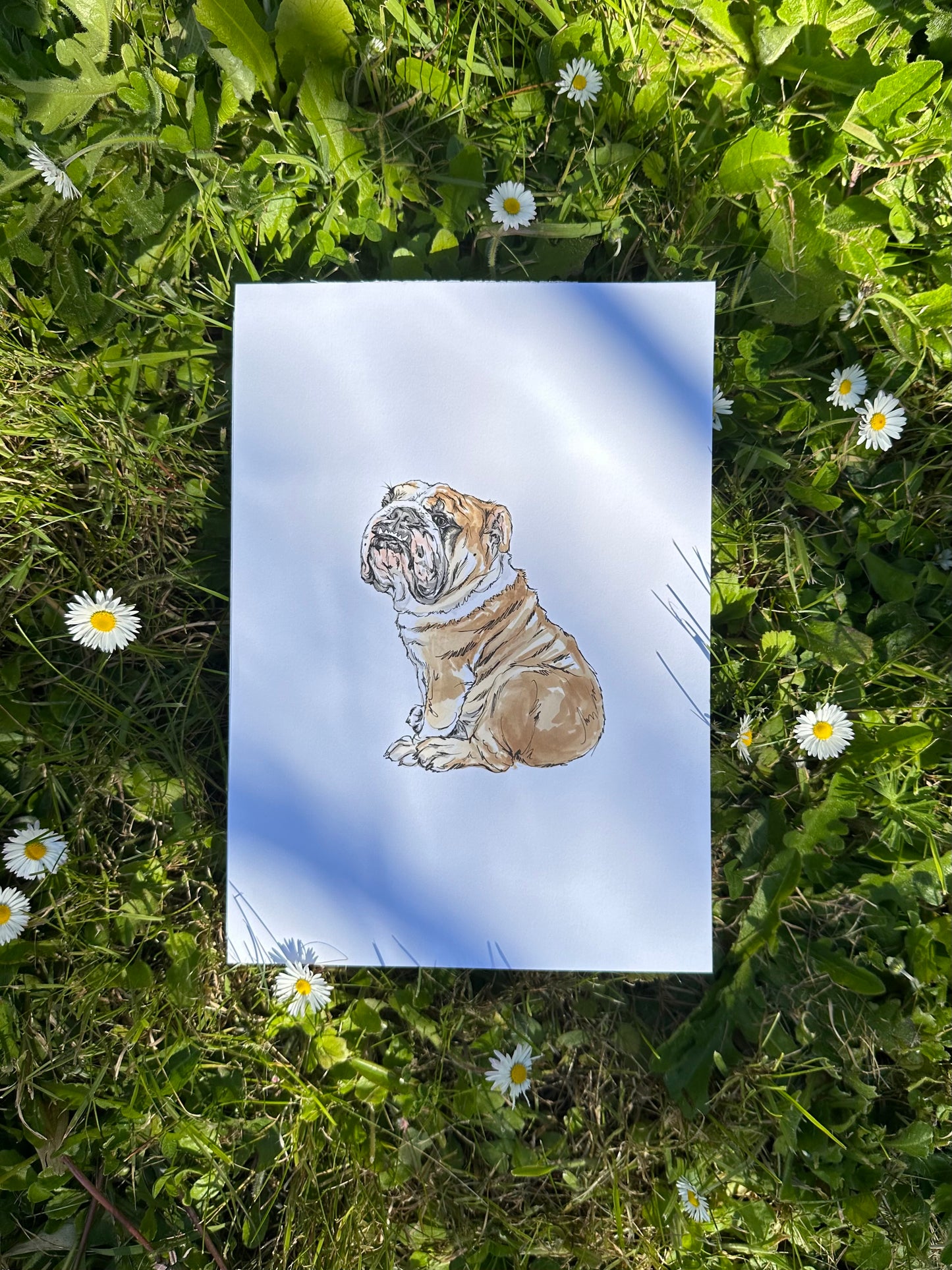 Original Great British Bulldog