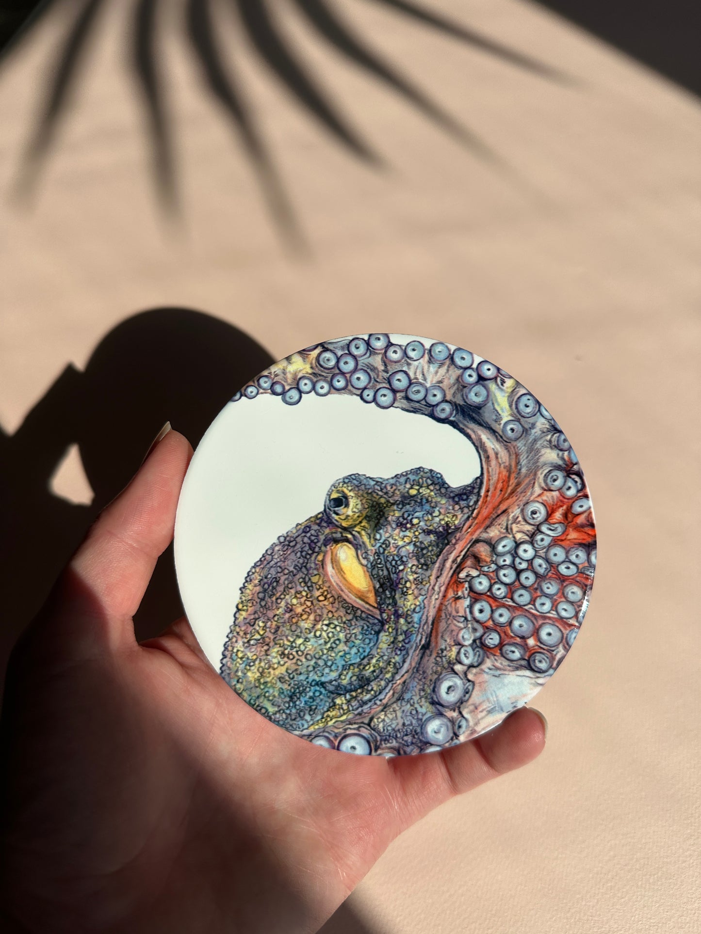 Octopus Coaster