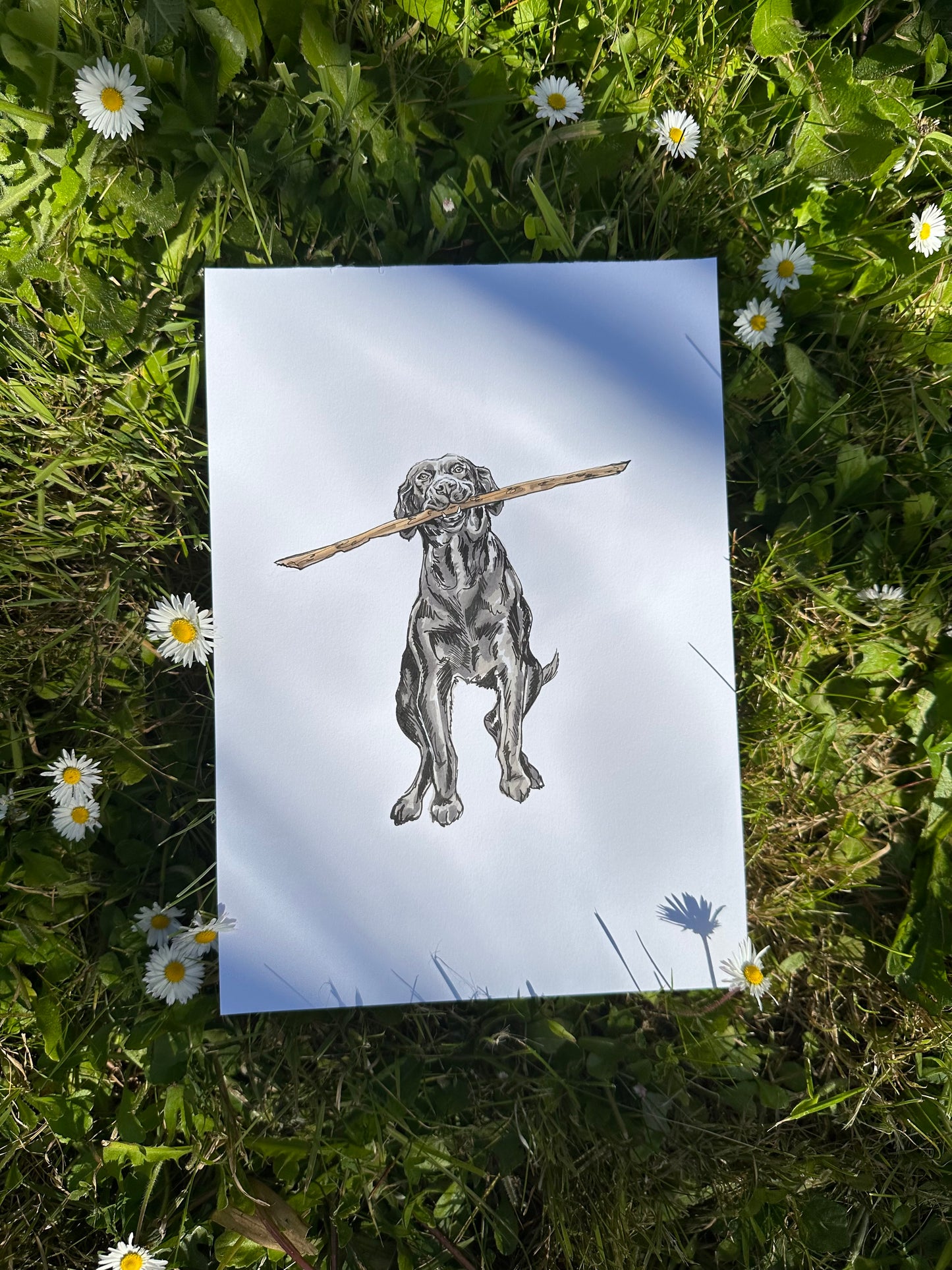 Original I have a stick!