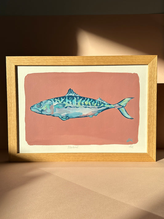 Mackerel