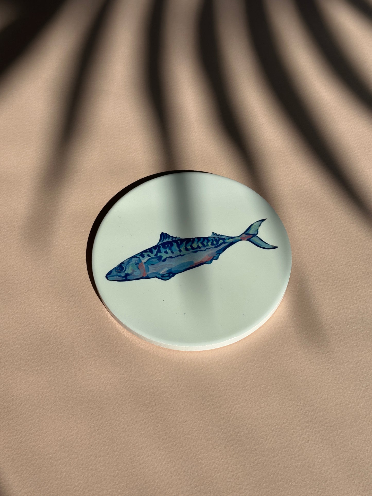 Mackerel Coaster