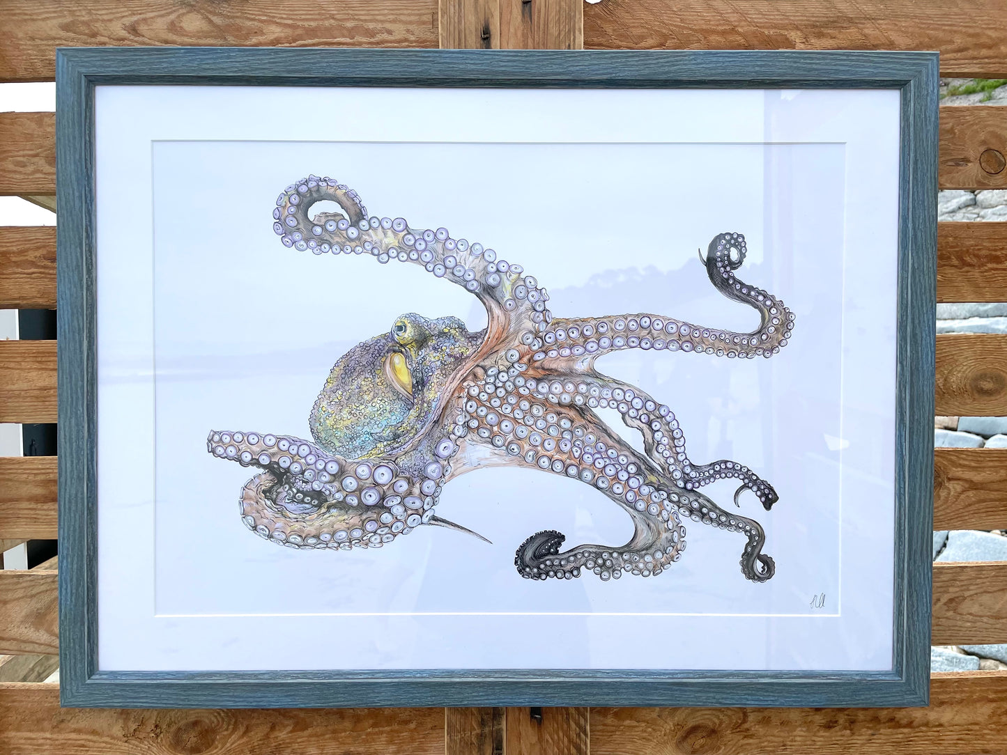 Octopus Giclee Print