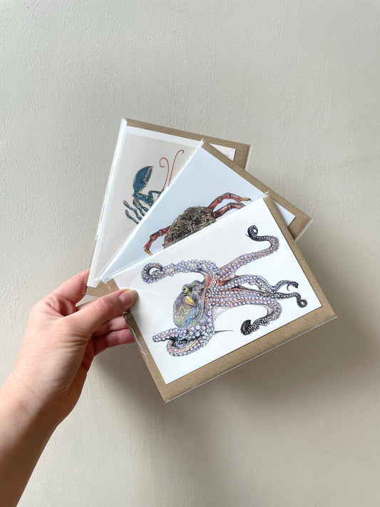 Octopus Greetings Card