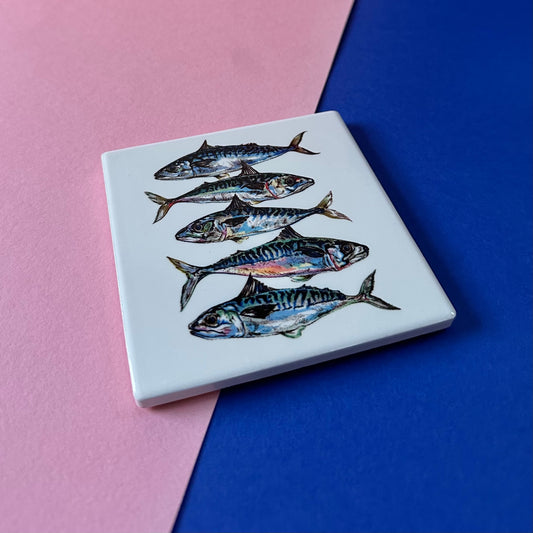 Mackerel Coaster