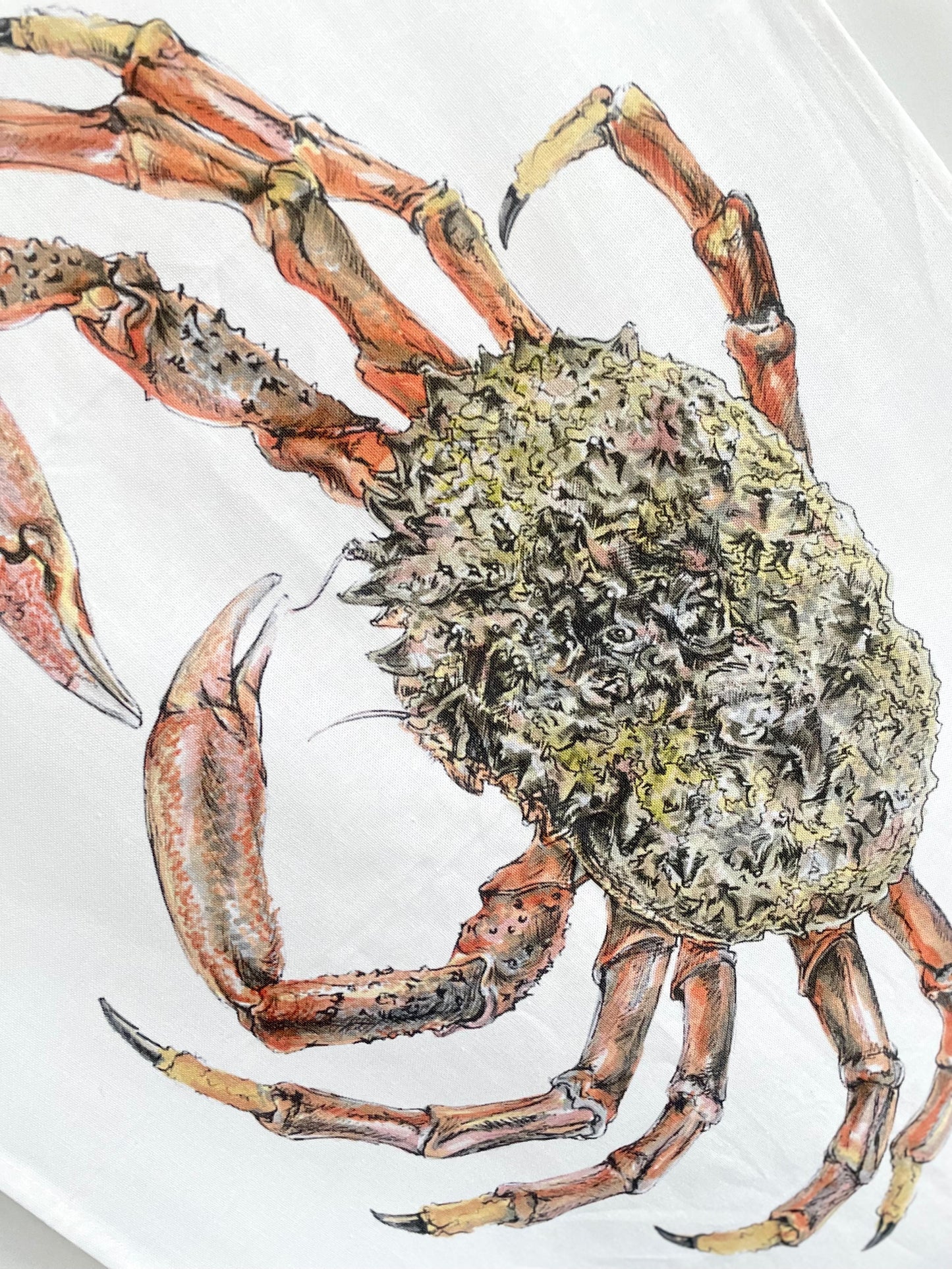 Spider Crab Tea Towel